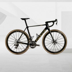 Vélo Aurum Magma